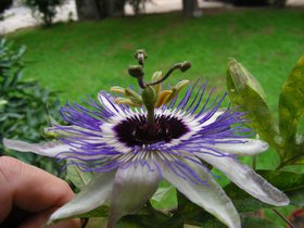 09-0627-SAMSUN (25).JPG